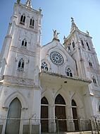 Catedral Inmaculada Concepción.JPG