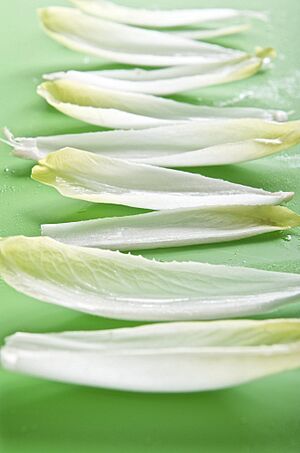 Archivo:Chicory Green (3047077636)