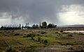 Colhu huapi polado