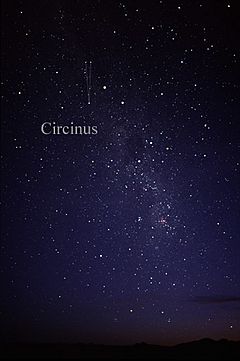 Archivo:Constellation Circinus