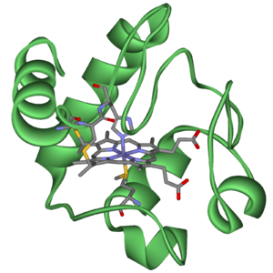 Archivo:Cytochrome c