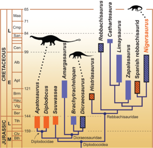 Archivo:Diplodocoidea-cladogram