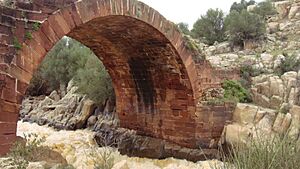 Archivo:El Piélago