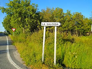 Archivo:Entrada La Salceda