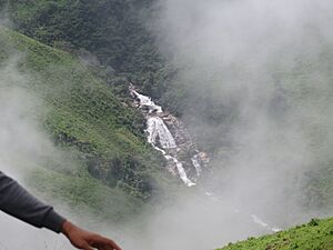 Archivo:Feeling the breeze of the mountain dews