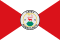Flag of Cayey.svg