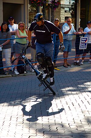 Archivo:Flatland