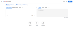Google Translate screenshot.png