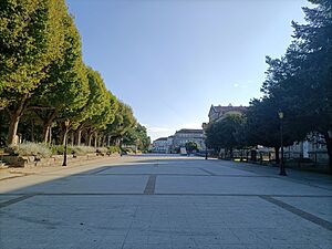Archivo:Gran Vía de Montero Ríos en Pontevedra capital
