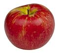 Honeycrisp-Apple