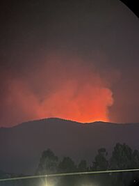 Archivo:Incendio Forestal coronel
