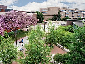 Archivo:Lakehead University Summer Campus