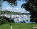 Le Danube entre Novi Beograd et Zemun