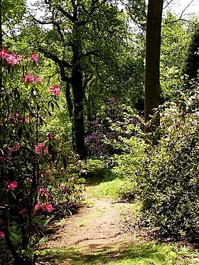 Lydney Park Gardens - geograph.org.uk - 154426.jpg