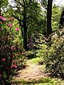 Lydney Park Gardens - geograph.org.uk - 154426