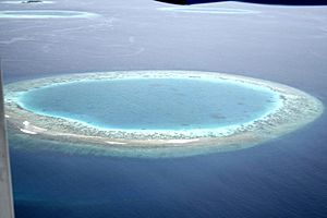 Archivo:Maldives small island