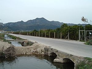Archivo:Marjal xeresa2