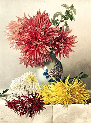 Archivo:Mary Elizabeth Duffield - Chrysanthemums (11122339803)