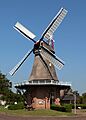 Meppel-Nijeveen, stellingmolen de Sterrenberg RM30957 IMG 8464 2023-09-11 13.50