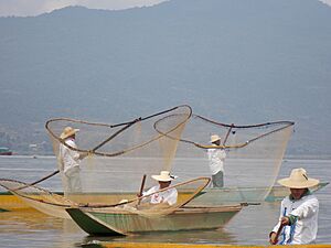 Archivo:Pescadores Trabajando