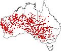 Pied Honeyeater distribution Oct 2014