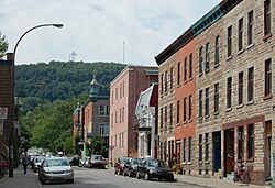 Plateau Mont-Royal.jpg