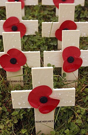 Archivo:Poppies Mounted on Wooden Crosses for Remembrance Day 2003 MOD 45143469