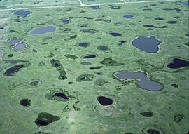Archivo:Prairie Pothole Wetlands
