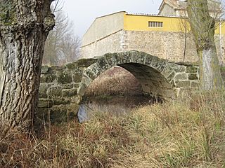 Puente de Puentetoma.jpg