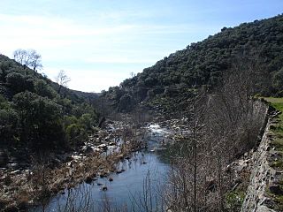 Río Estena.jpg