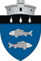 ROU SV Bilca CoA