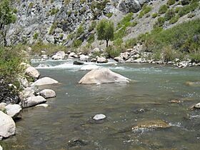 Rio chicharra - panoramio.jpg