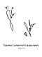 Sabrina Signatures.jpg