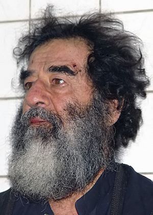 Archivo:Saddamcapture