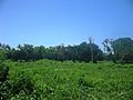 San Diego Guerra, Yucatán (03)