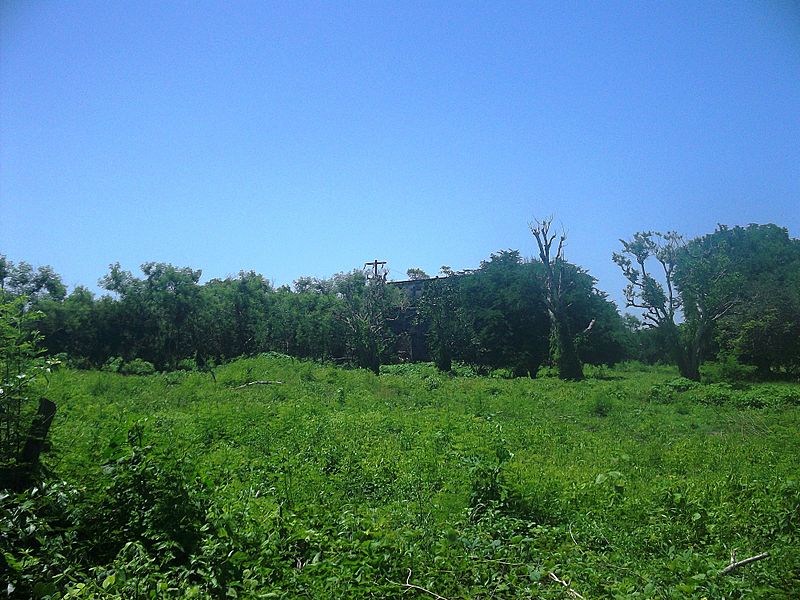 San Diego Guerra, Yucatán (03)