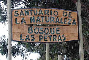 Archivo:Santuario Bosque Las Petras Quintero
