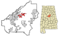 Shelby County Alabama Incorporated and Unincorporated areas Chelsea Highlighted