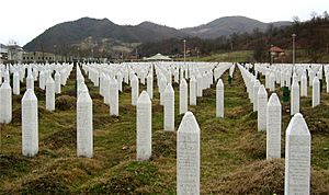 Archivo:Srebrenica massacre memorial gravestones 2009 1