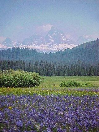 Teton Range from Caribou NF.JPG