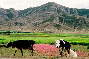Archivo:Tibet, Ruta 318 (1999) 06