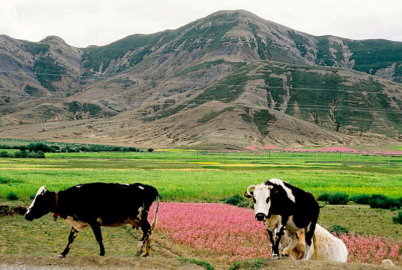 Tibet, Ruta 318 (1999) 06