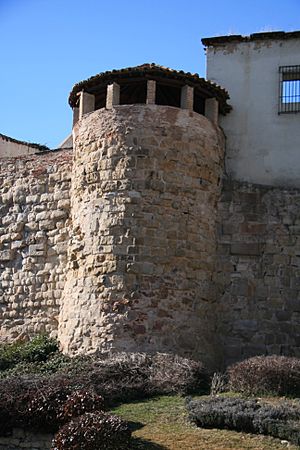 Archivo:Torre Muralla de Salamanca