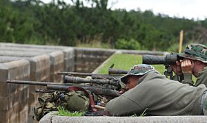 Archivo:USMC Sniper M24