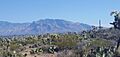 View of Mount Lemmon from West Saguaro National Park near Tuscon, AZ