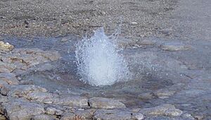 Archivo:Vixen Geyser at Norris Geyser Basin in Yellowstone-750px