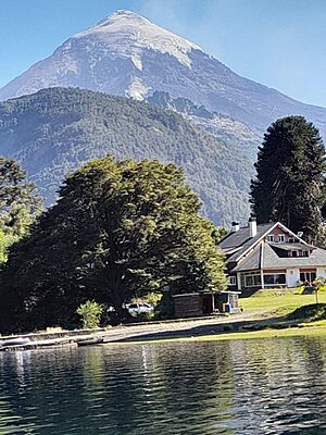 Archivo:Volcan Lanin - Patagonia Argentina