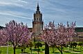 WLM14ES - El campanar de l'esplèndida Catedral gótica, amb restes de romànic. el Burgo de Osma, Soria - MARIA ROSA FERRE