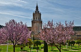 Archivo:WLM14ES - El campanar de l'esplèndida Catedral gótica, amb restes de romànic. el Burgo de Osma, Soria - MARIA ROSA FERRE