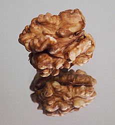 Archivo:Whole Walnut Kernel